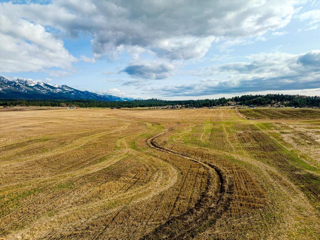 Land/Vacant Land's Image 19