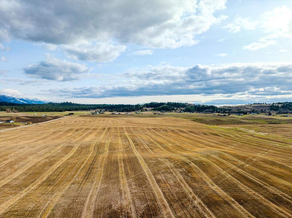 Land/Vacant Land's Image 21