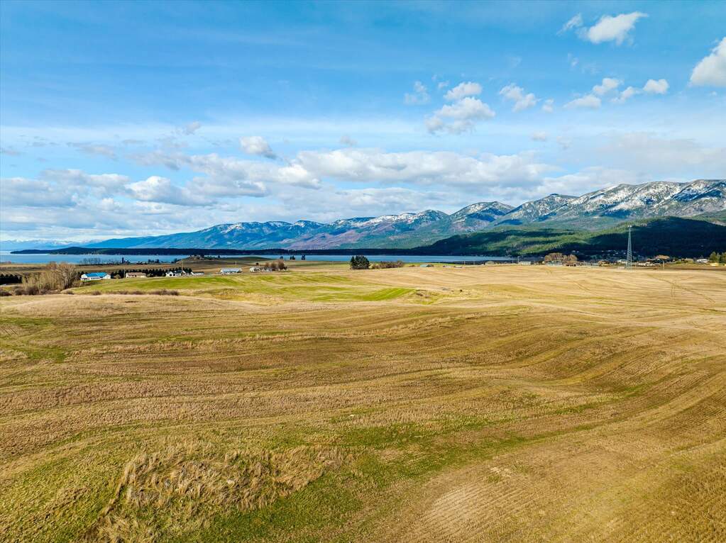 Land/Vacant Land's Image 25