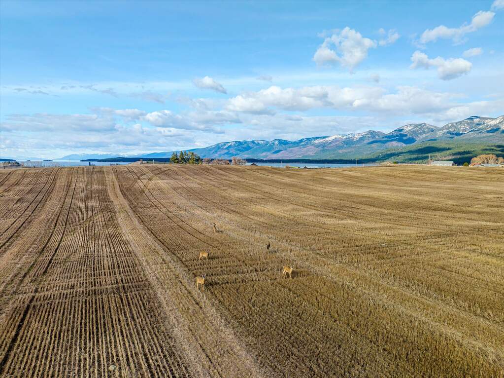Land/Vacant Land's Image 26