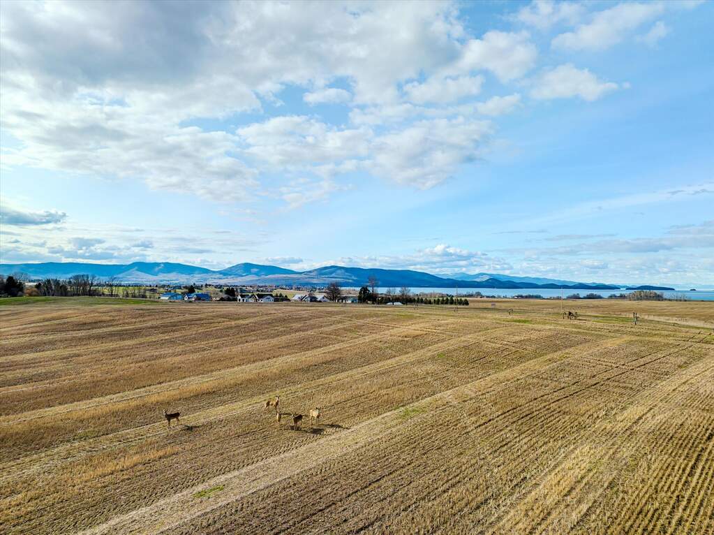 Land/Vacant Land's Image 27