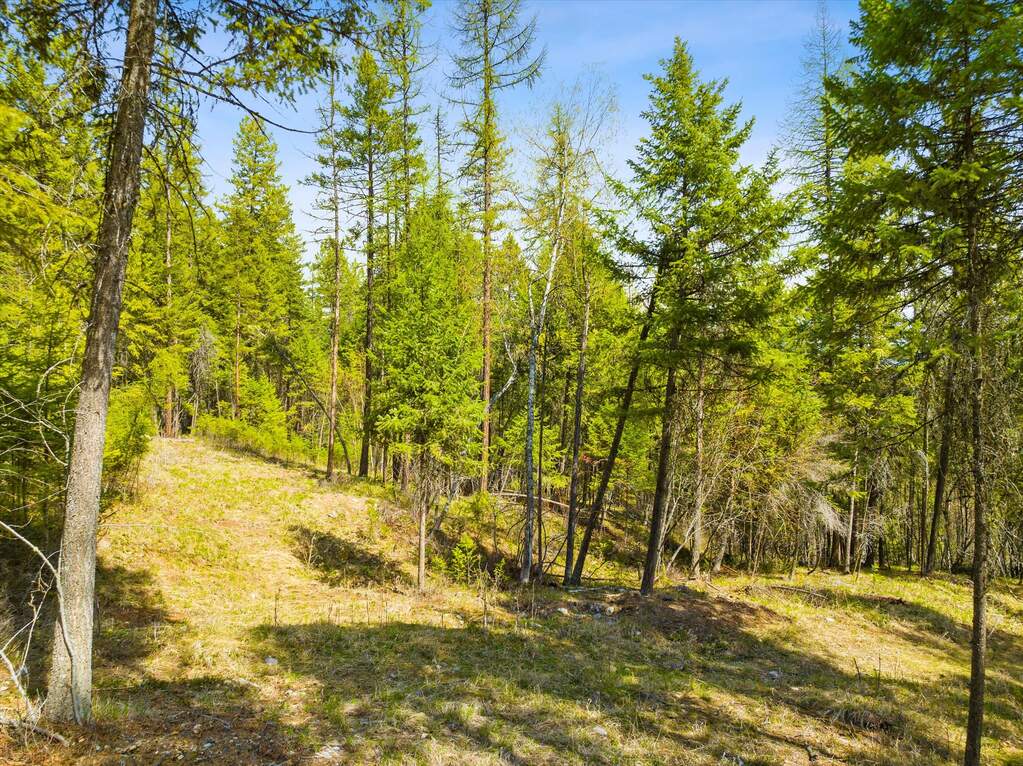 Land/Vacant Land's Image 24