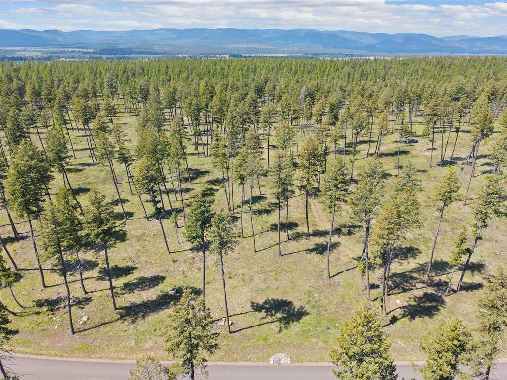 Land/Vacant Land's Image 7