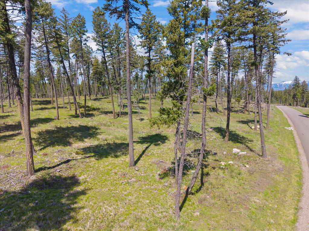 Land/Vacant Land's Image 9