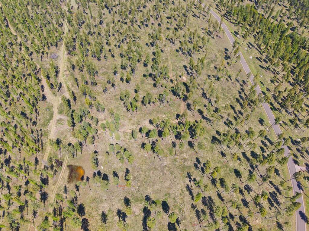 Land/Vacant Land's Image 11