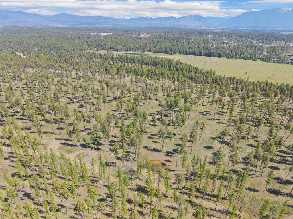 Land/Vacant Land's Image 6