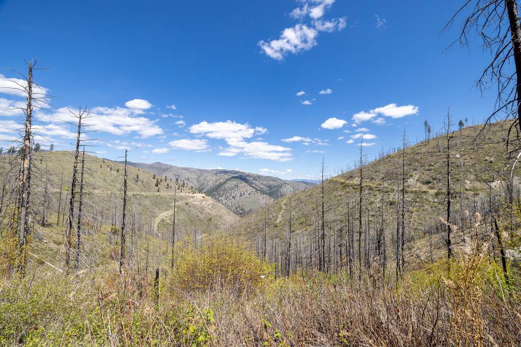 Land/Vacant Land's Image 8