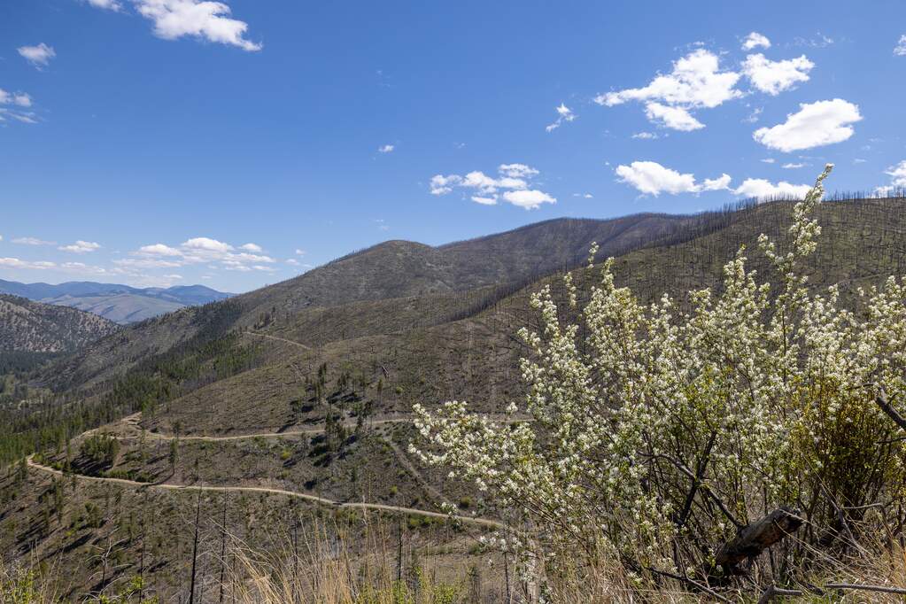 Land/Vacant Land's Image 10