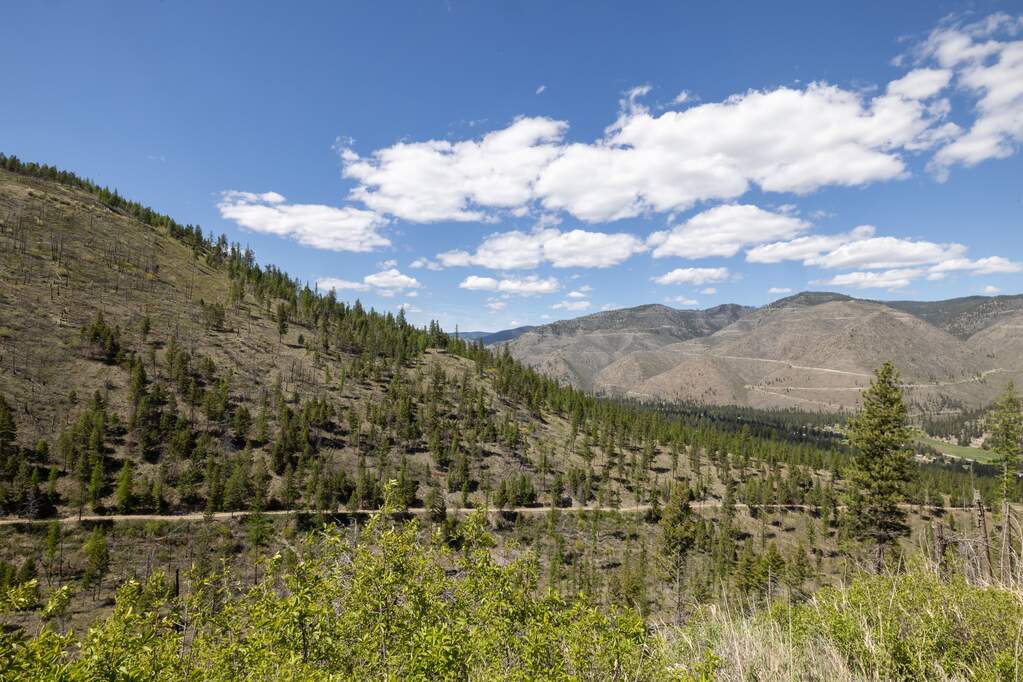 Land/Vacant Land's Image 15