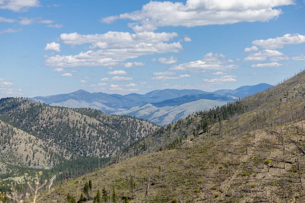 Land/Vacant Land's Image 23