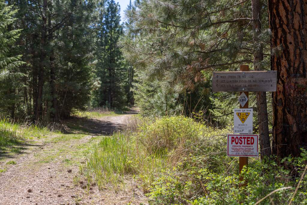 Land/Vacant Land's Image 24