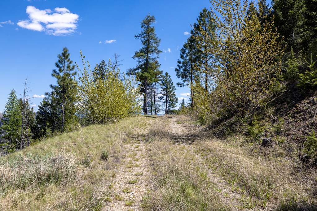 Land/Vacant Land's Image 4