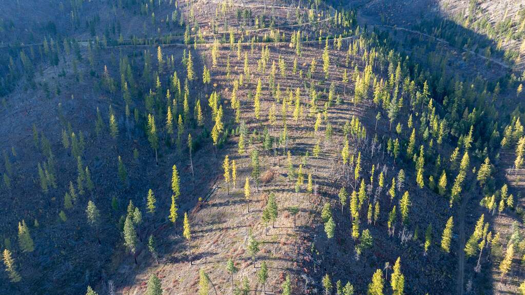 Land/Vacant Land's Image 6
