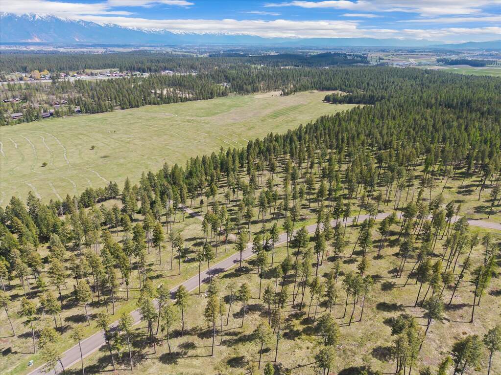 Land/Vacant Land's Image 12