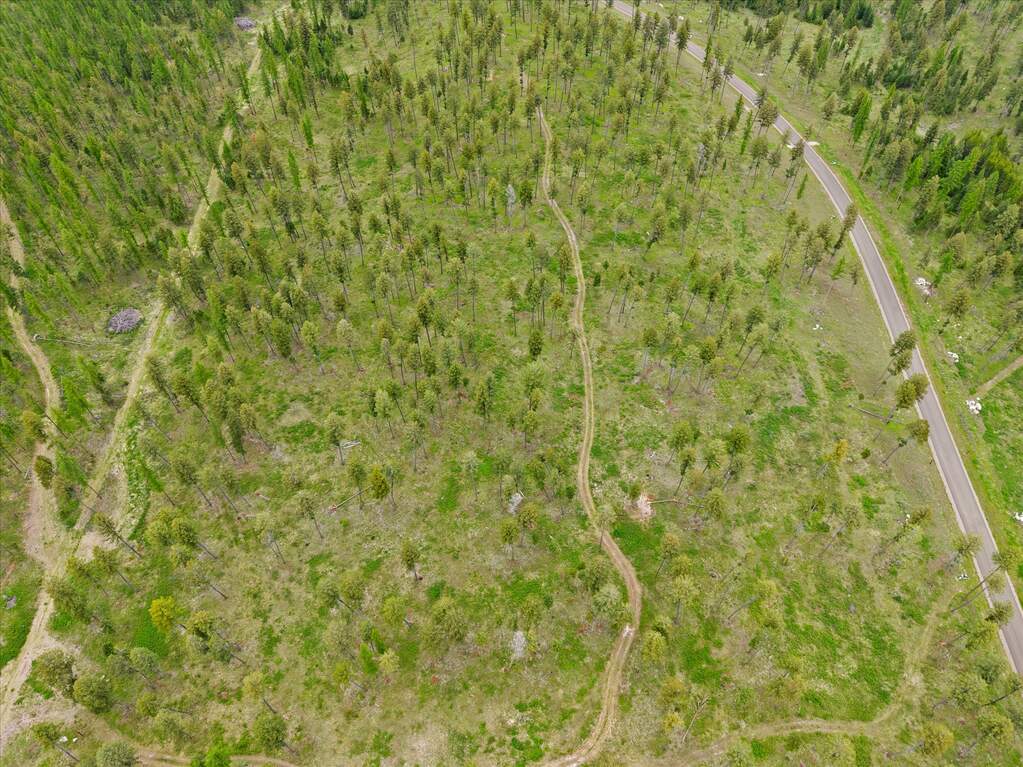 Land/Vacant Land's Image 7