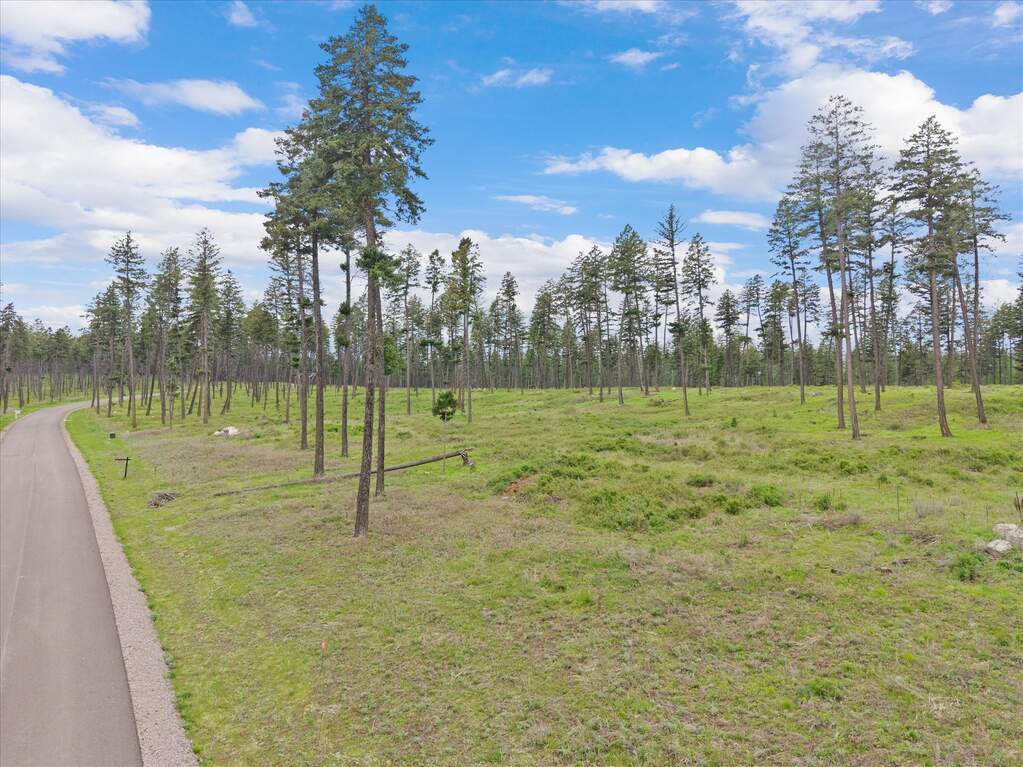 Land/Vacant Land's Image 9