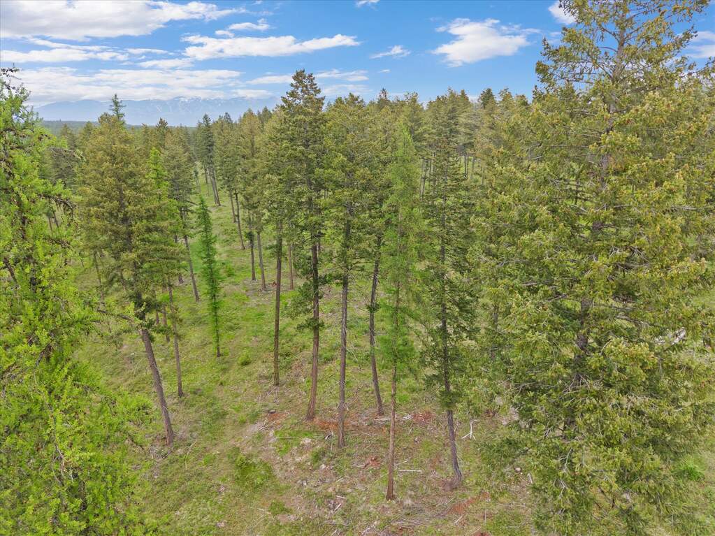 Land/Vacant Land's Image 11
