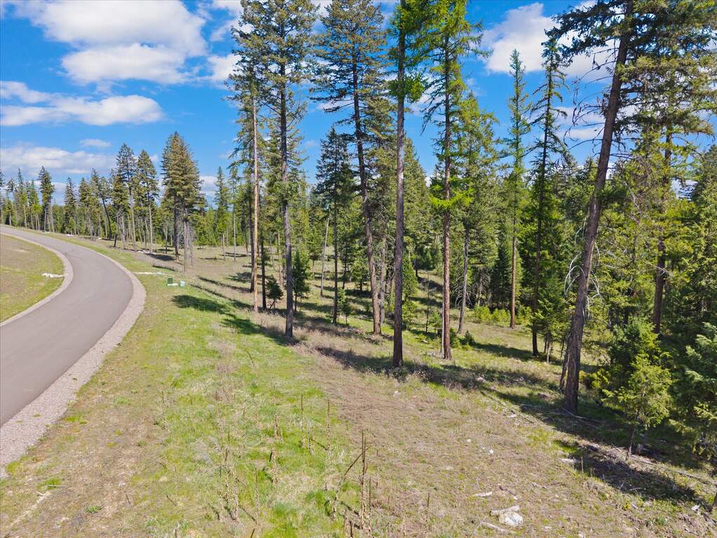 Land/Vacant Land's Image 8