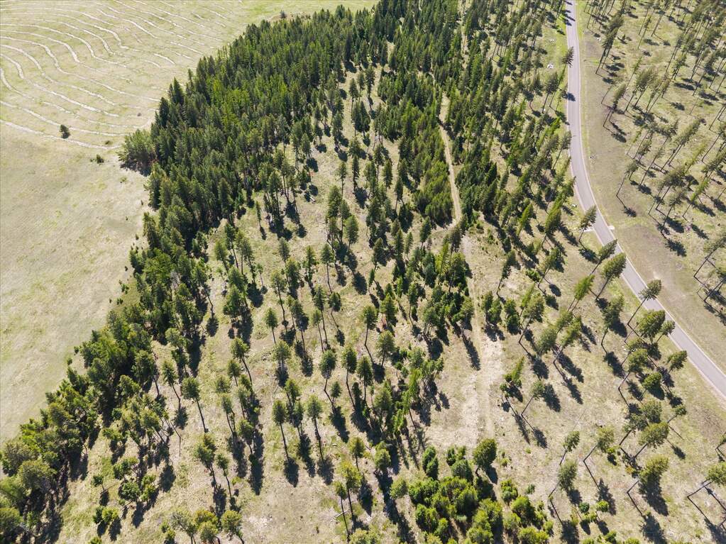 Land/Vacant Land's Image 3