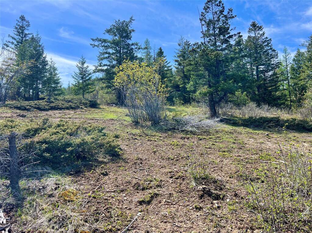 Land/Vacant Land's Image 3