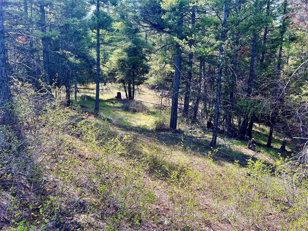 Land/Vacant Land's Image 4