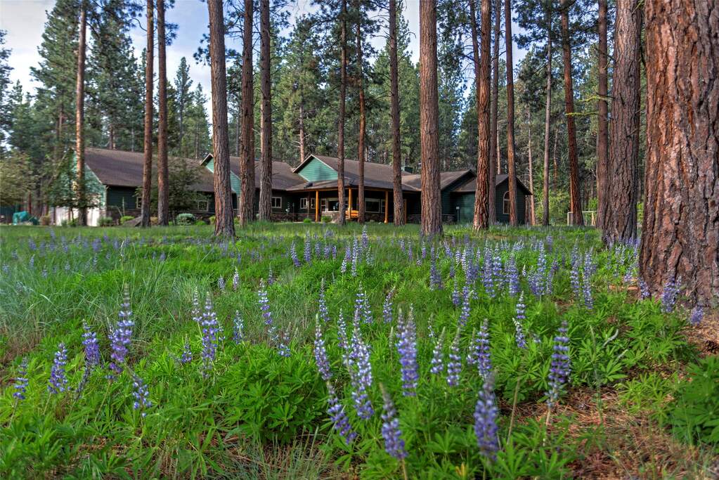 3 Bedroom Single Family Home/House's Image 74
