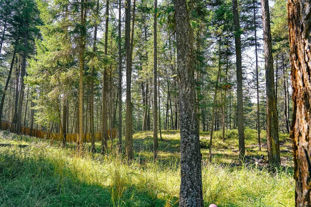 Land/Vacant Land's Image 10