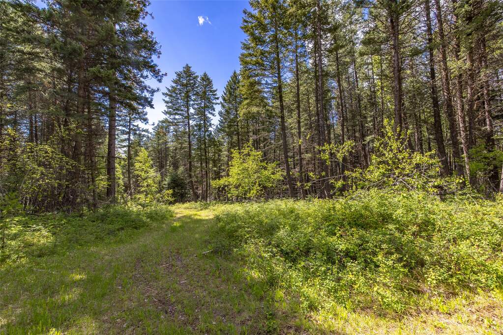Land/Vacant Land's Image 7