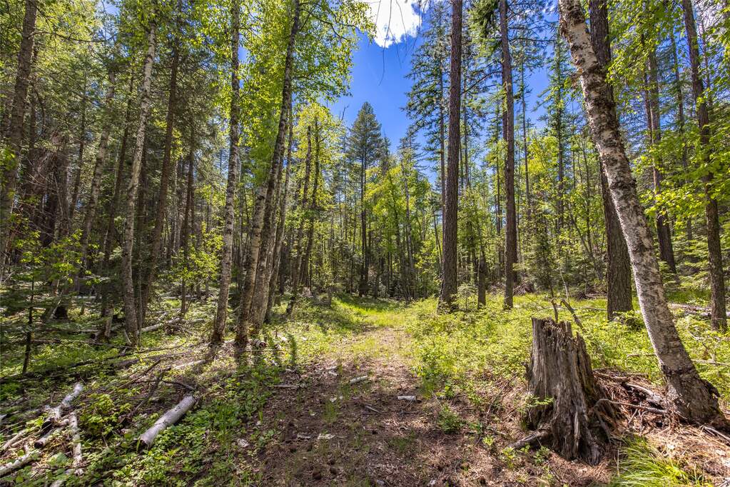 Land/Vacant Land's Image 8