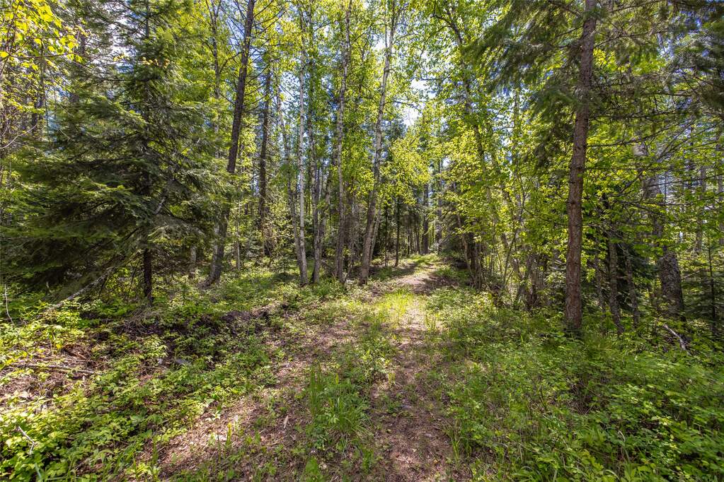 Land/Vacant Land's Image 9