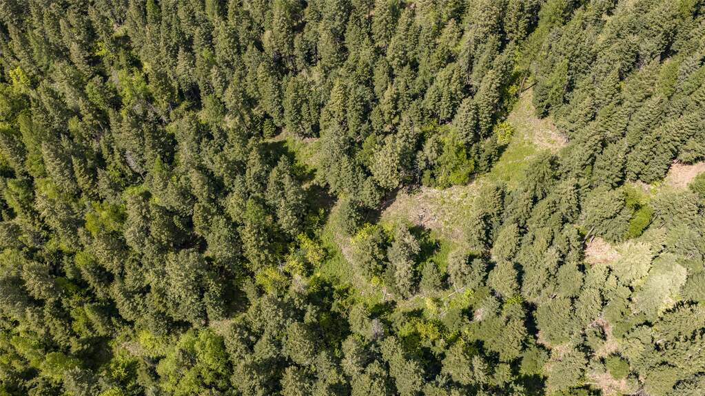 Land/Vacant Land's Image 17