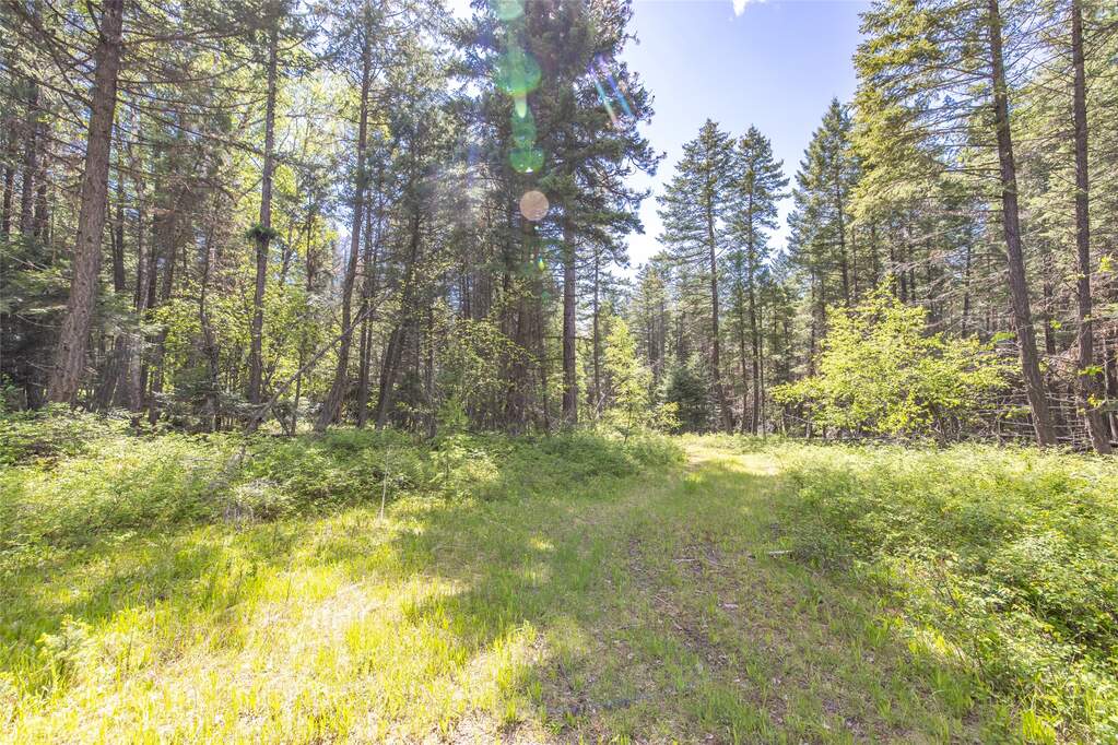 Land/Vacant Land's Image 21