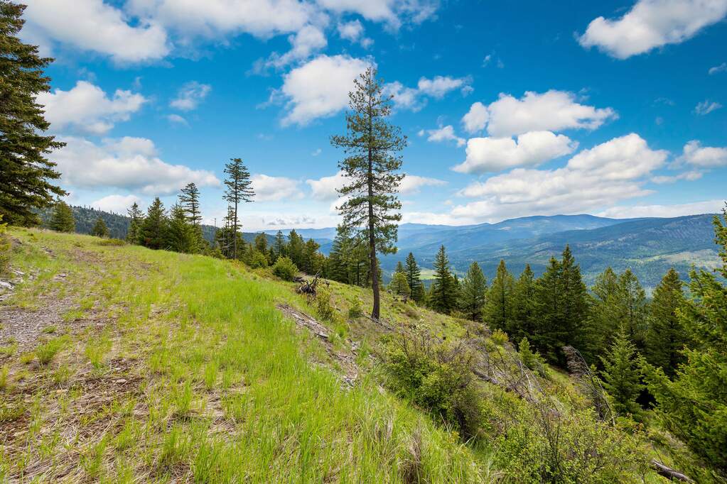 Land/Vacant Land's Image 97