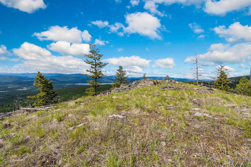 Land/Vacant Land's Image 103