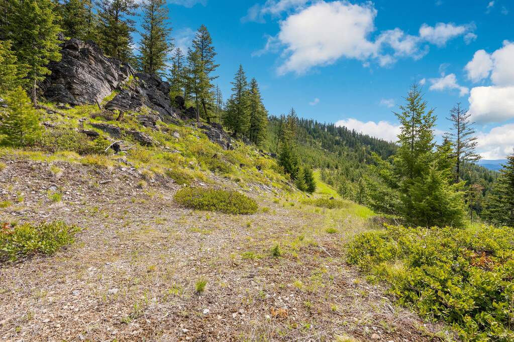 Land/Vacant Land's Image 104