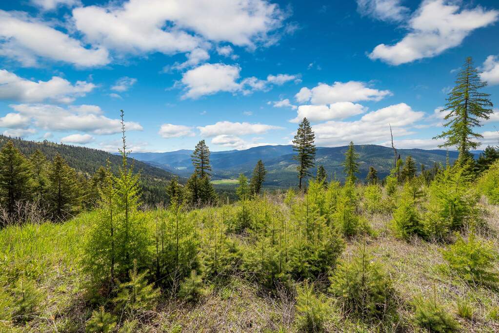 Land/Vacant Land's Image 105