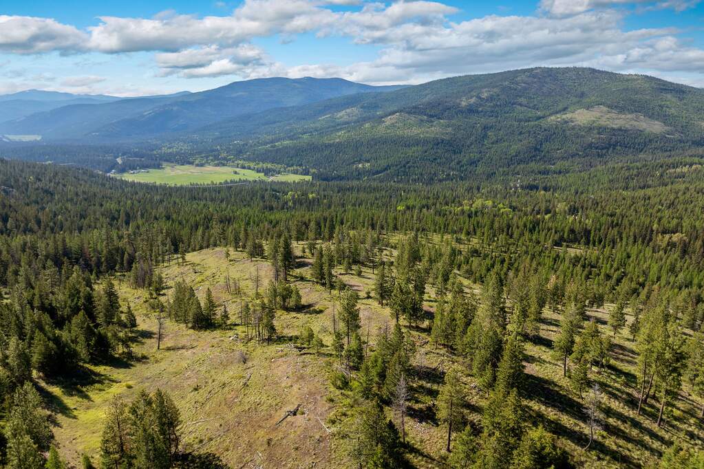 Land/Vacant Land's Image 21