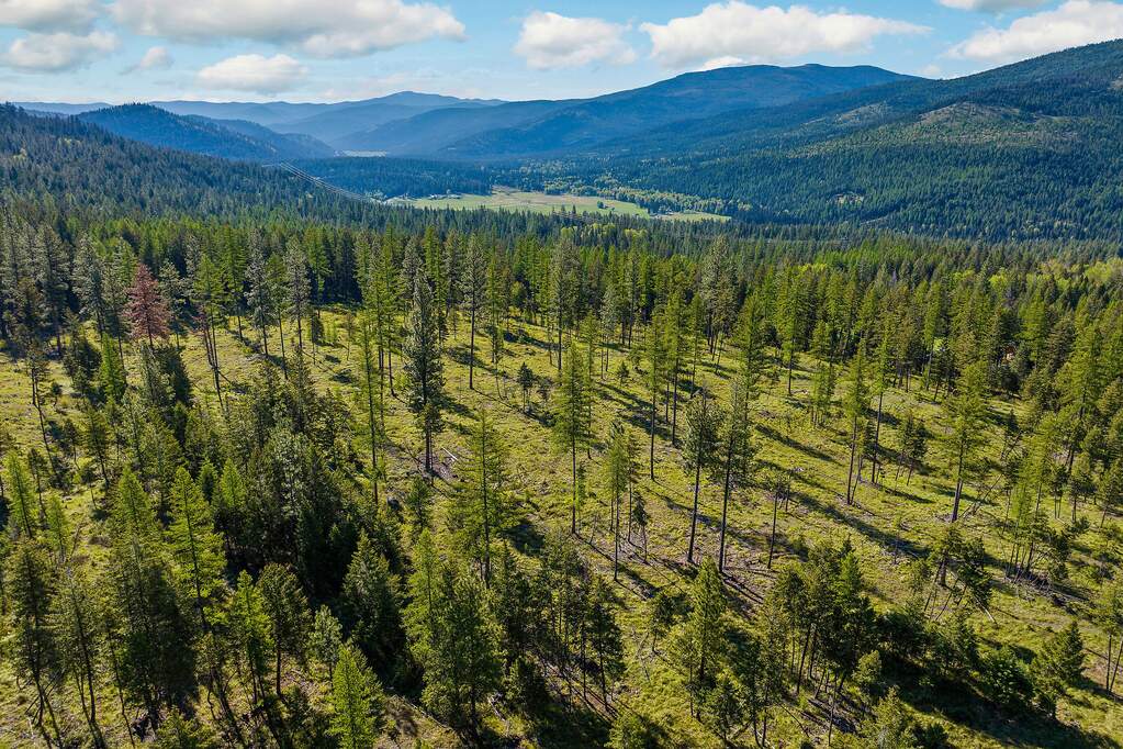 Land/Vacant Land's Image 24