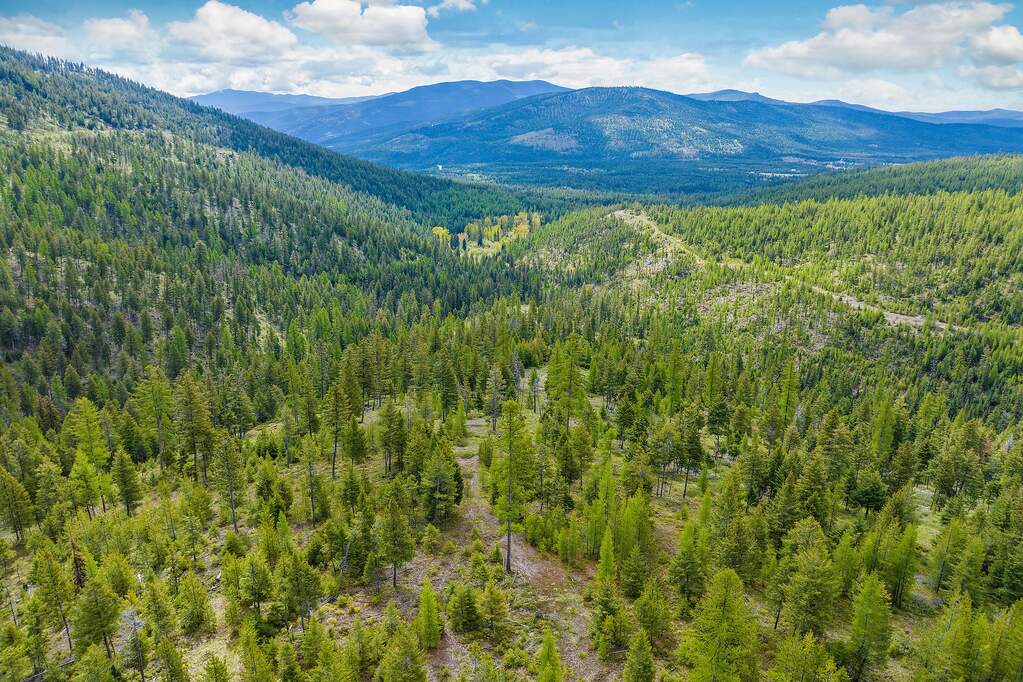 Land/Vacant Land's Image 40
