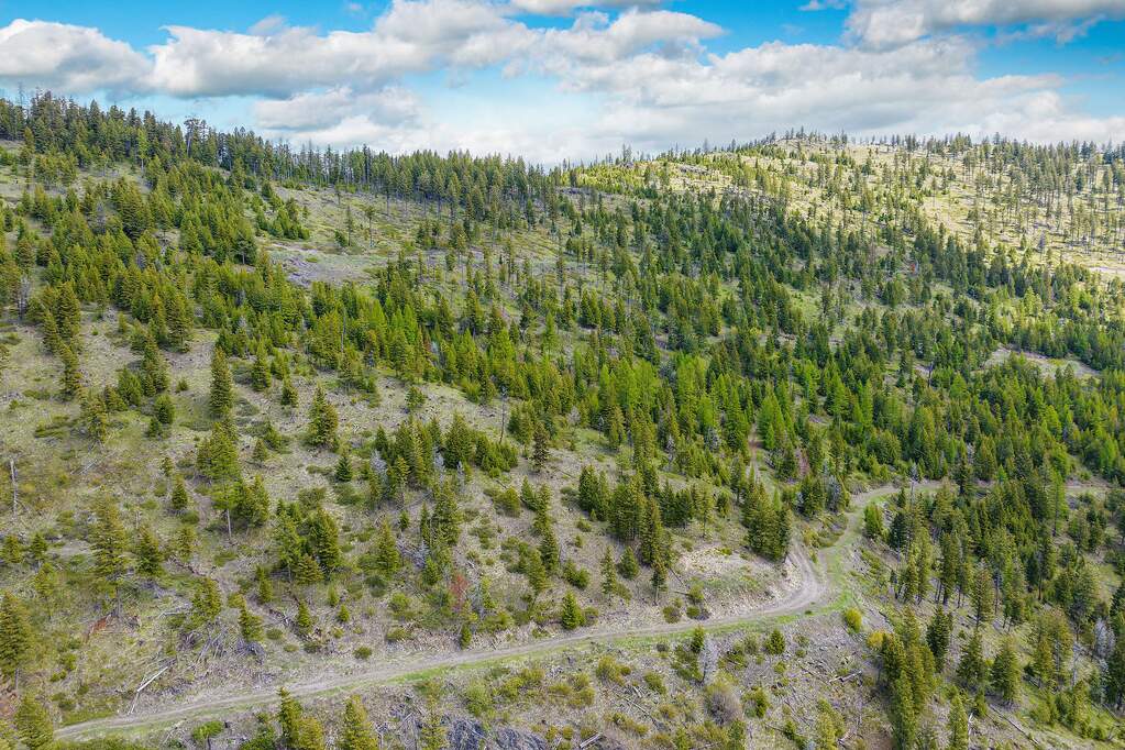 Land/Vacant Land's Image 49