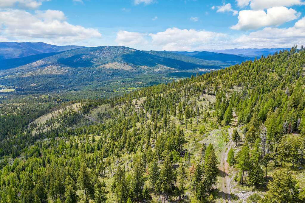 Land/Vacant Land's Image 74