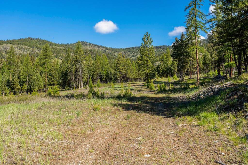 Land/Vacant Land's Image 76