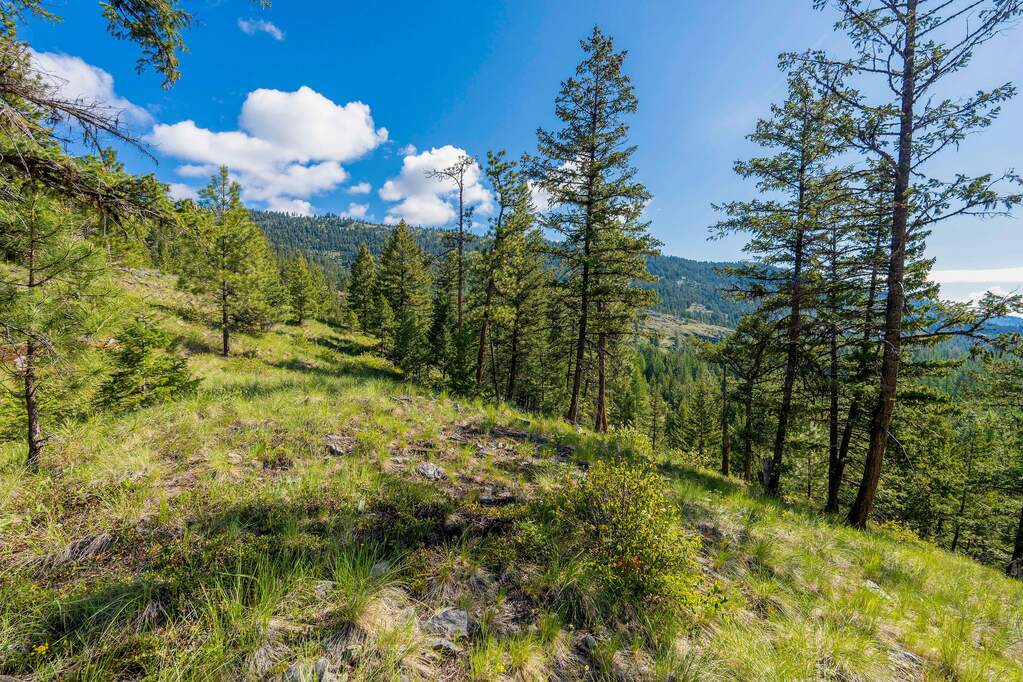 Land/Vacant Land's Image 78