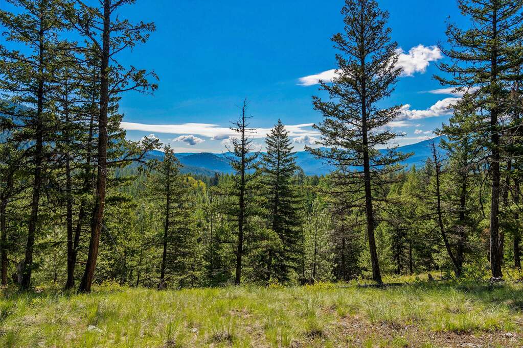 Land/Vacant Land's Image 79