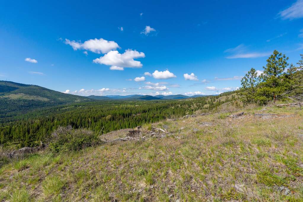 Land/Vacant Land's Image 80