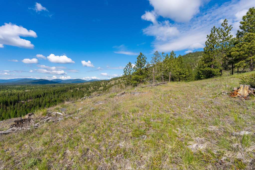 Land/Vacant Land's Image 81