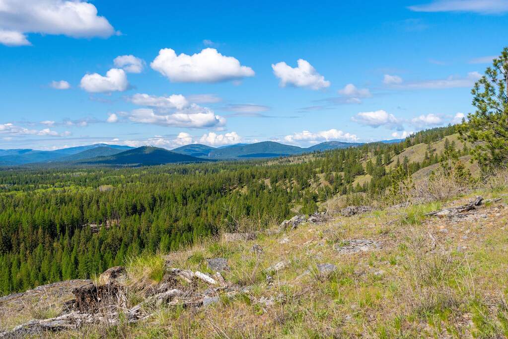 Land/Vacant Land's Image 82