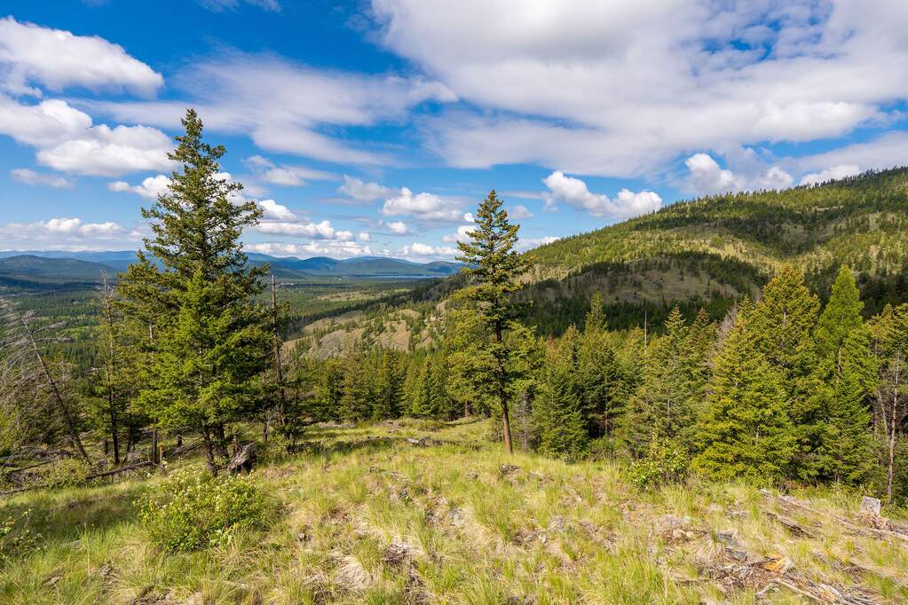 Land/Vacant Land's Image 83