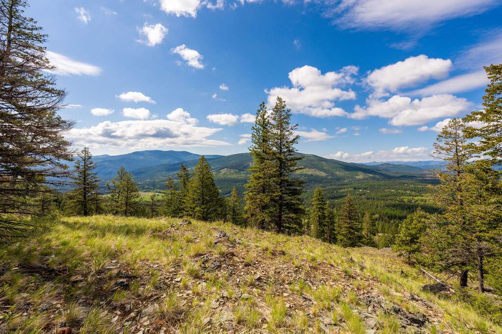 Land/Vacant Land's Image 85