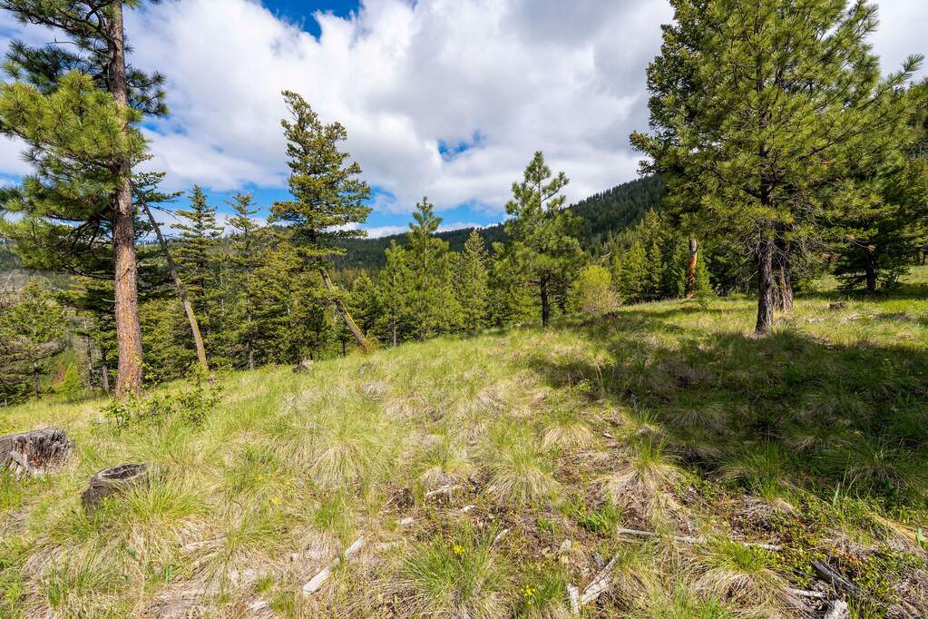 Land/Vacant Land's Image 86